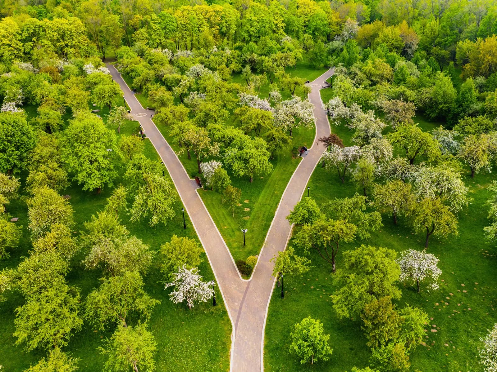 Un sentiero che si biforca in un parco verde, visto dall’alto